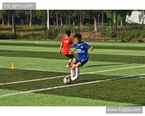 林足球球星:从青训场到国际赛场的传奇之路与成就分析 林足球球星:从青训场到国际赛场的传奇之路与成就分析